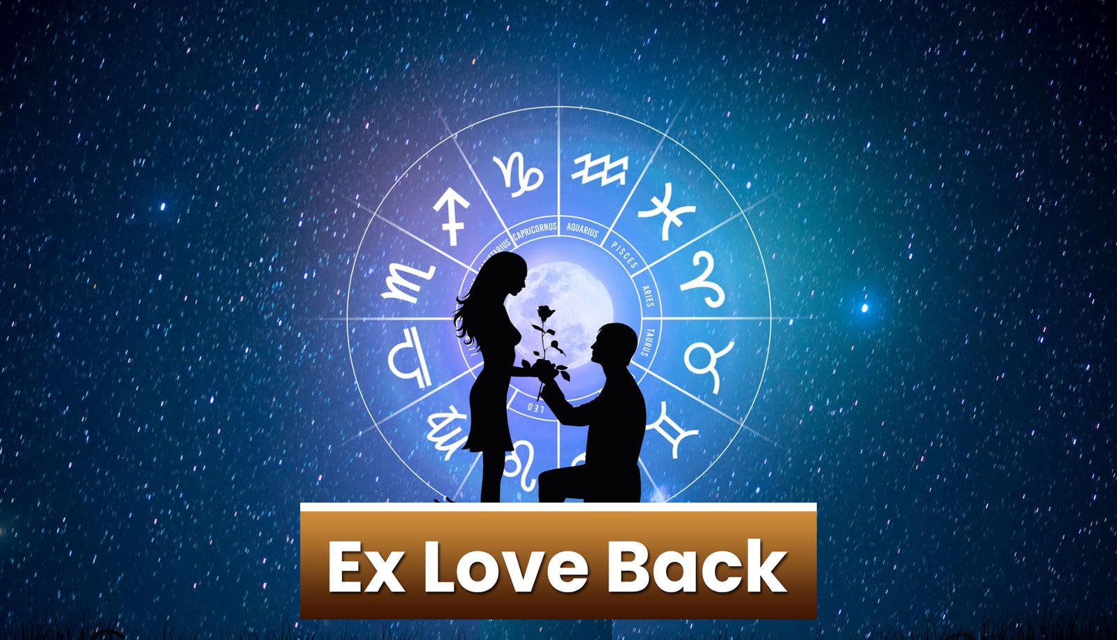 ex-love-back